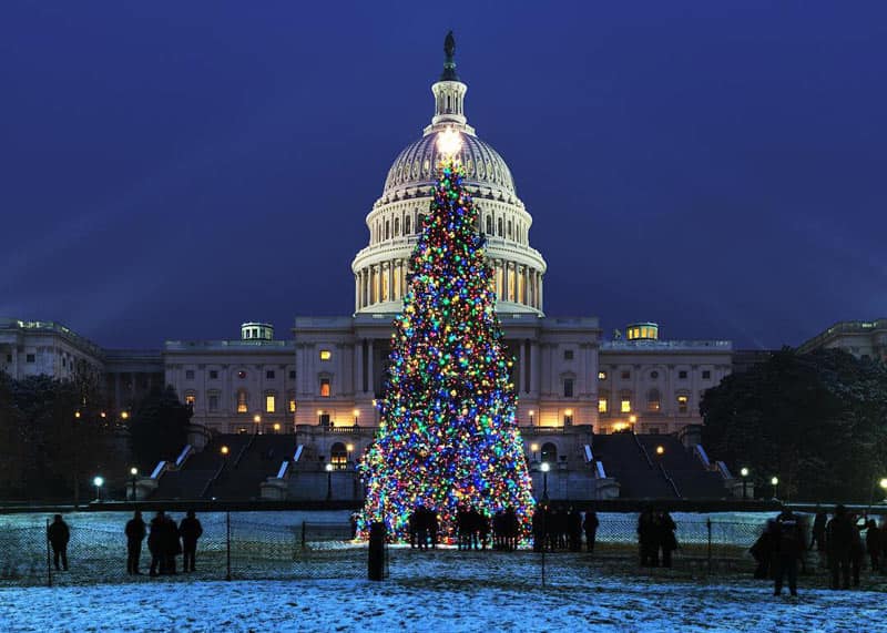 5 Things to Do in DC this Christmas